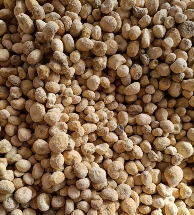 天然本草，健康之選 慶騰堂藥業(yè)精選無(wú)硫楮實(shí)子