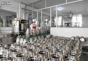 金正恩視察兒童食品廠(chǎng) 以責(zé)任之心守護(hù)下一代健康